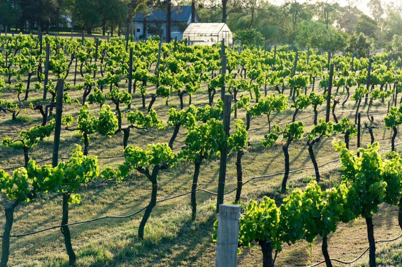 Thistle Hill Guesthouse - Walk To Many Wineries And Restaurants Pokolbin Buitenkant foto