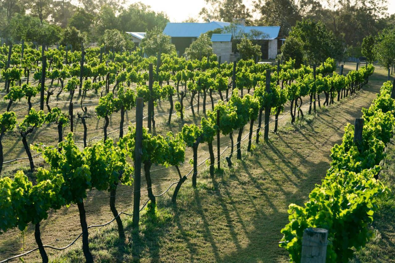 Thistle Hill Guesthouse - Walk To Many Wineries And Restaurants Pokolbin Buitenkant foto