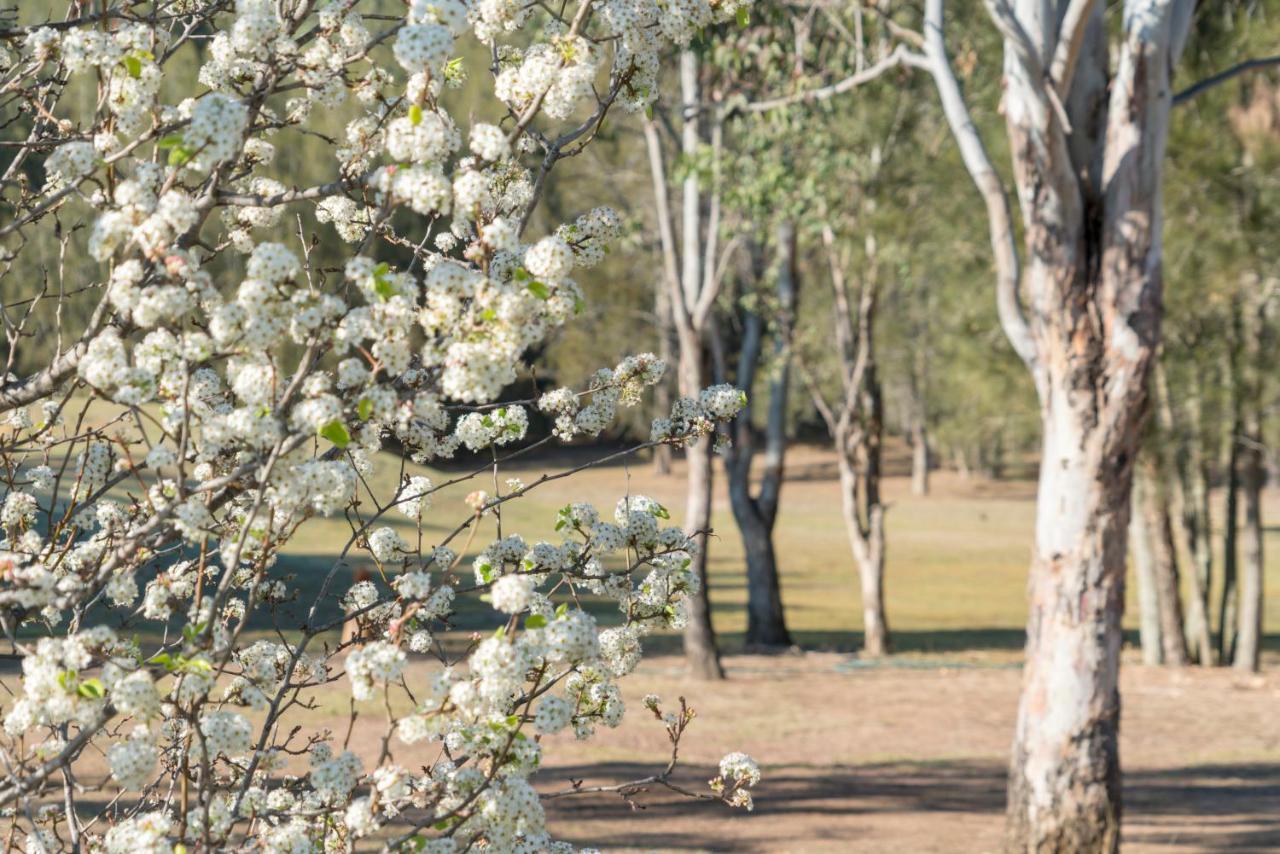 Thistle Hill Guesthouse - Walk To Many Wineries And Restaurants Pokolbin Buitenkant foto