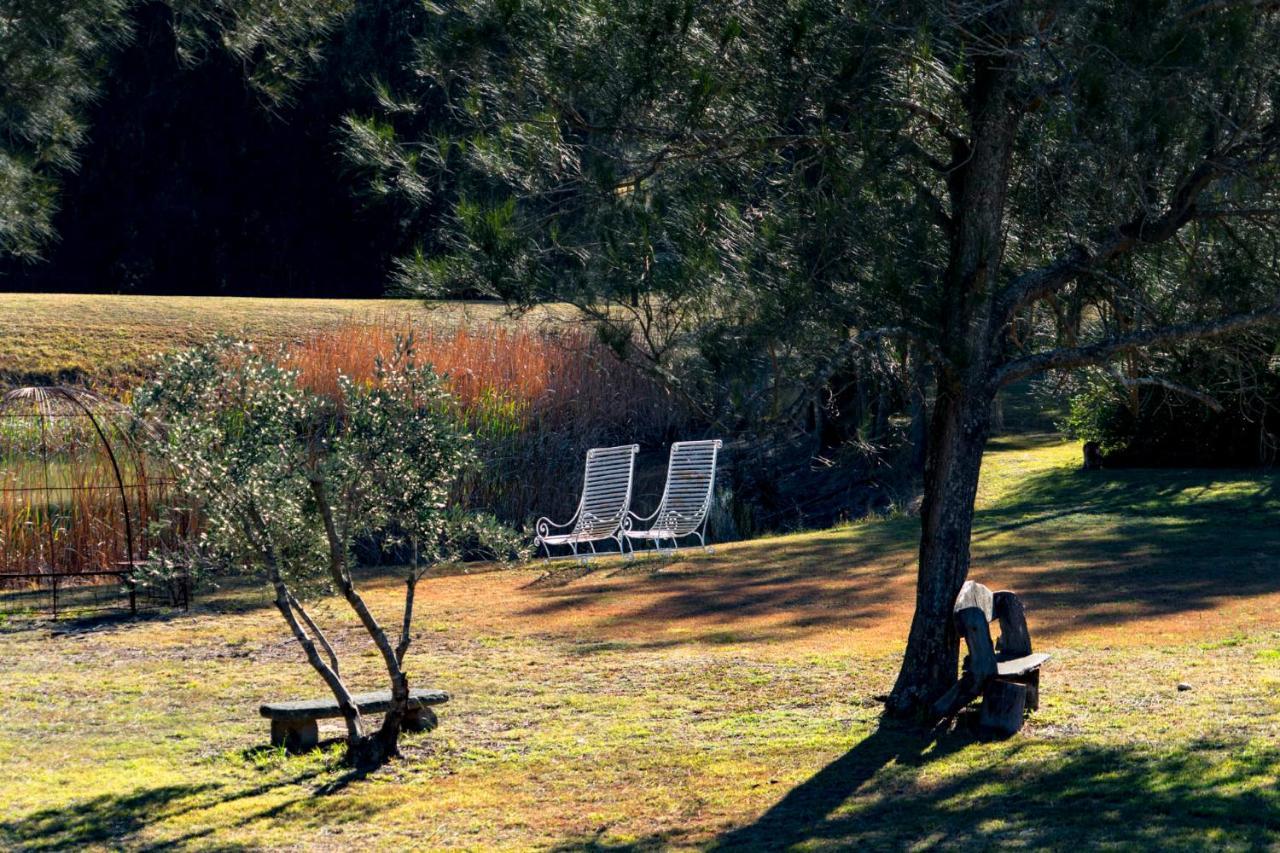 Thistle Hill Guesthouse - Walk To Many Wineries And Restaurants Pokolbin Buitenkant foto