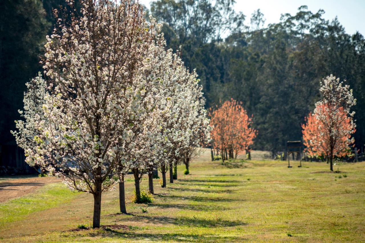 Thistle Hill Guesthouse - Walk To Many Wineries And Restaurants Pokolbin Buitenkant foto