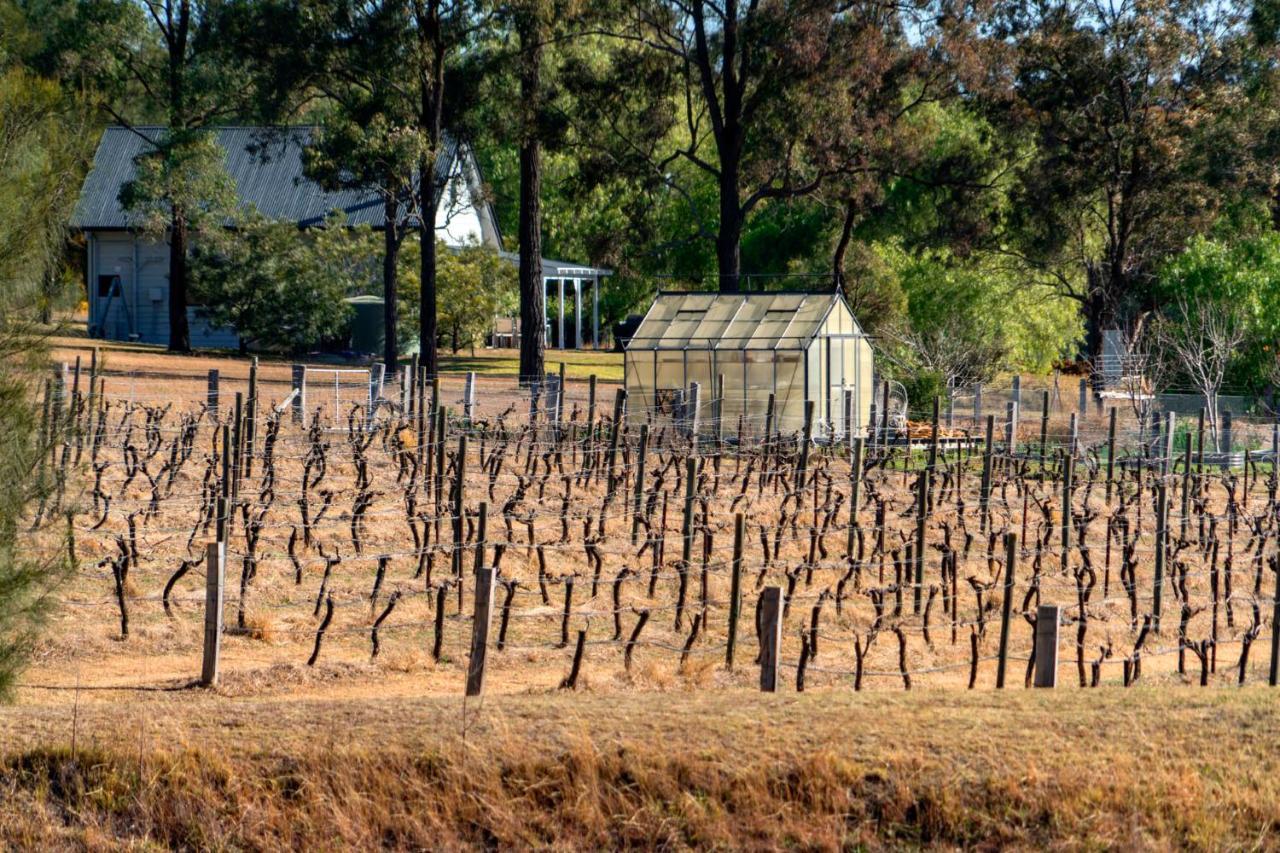 Thistle Hill Guesthouse - Walk To Many Wineries And Restaurants Pokolbin Buitenkant foto