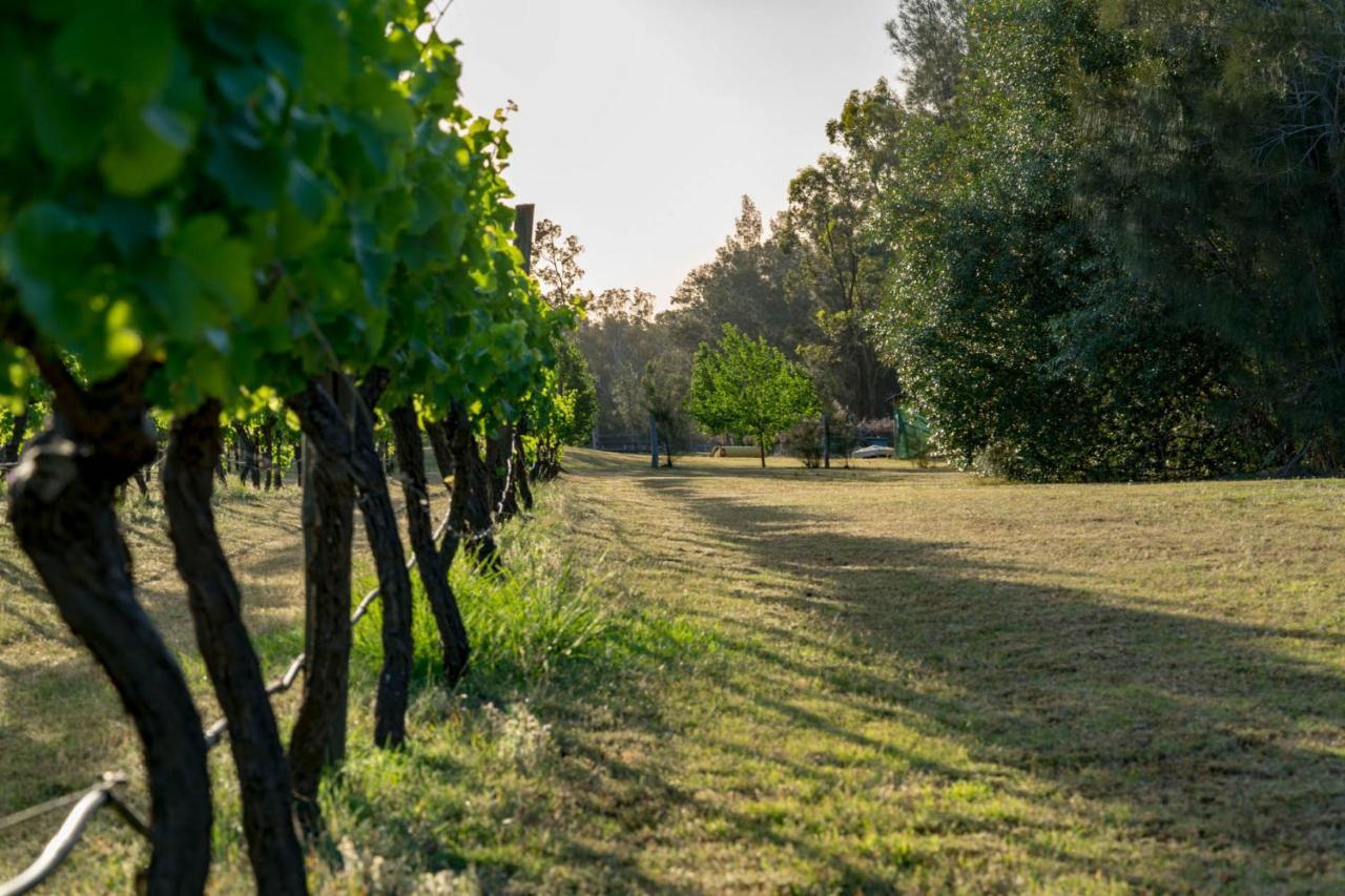 Thistle Hill Guesthouse - Walk To Many Wineries And Restaurants Pokolbin Buitenkant foto