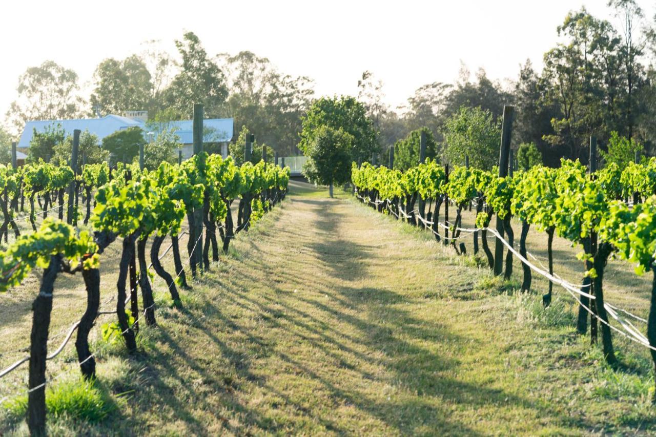 Thistle Hill Guesthouse - Walk To Many Wineries And Restaurants Pokolbin Buitenkant foto